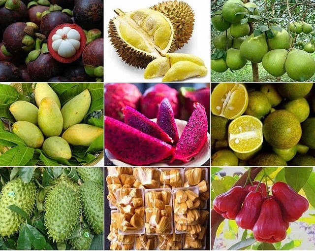 Xuất khẩu rau quả 11 tháng năm 2025 đạt 701,17 triệu USD