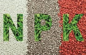 Nhập khẩu phân bón từ các thị trường năm 2025 đạt trên 2,19 tỷ USD