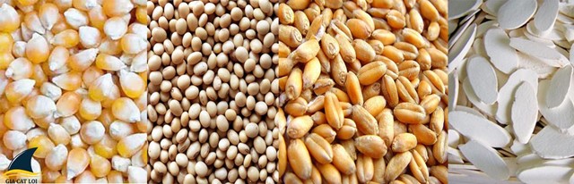 Doanh nghiệp xuất khẩu nông sản đặt mục tiêu tăng trưởng 6-8% năm 2026