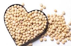 Nhập khẩu đậu tương tháng 1/2026 tăng mạnh