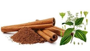 Xuất khẩu quế 2 tháng đầu năm tăng gần 17% so với cùng kỳ