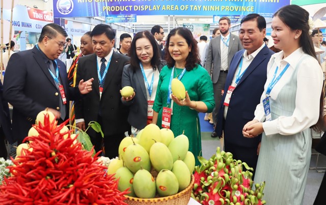 Vietnam Expo 2026: Rộng cửa cho hàng Việt vươn ra thế giới