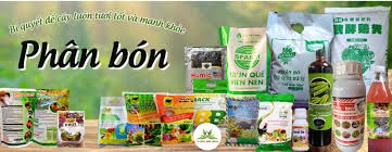 Xuất khẩu phân bón 3 tháng đầu năm 2026 tăng trưởng tốt