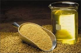 Giá dầu đậu tương  kỳ hạn tại CBOT sáng  ngày 28/4/2016