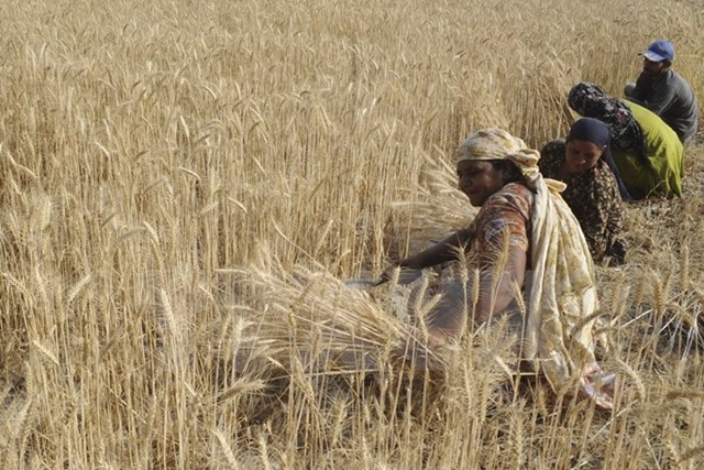 Ấn Độ là nền kinh tế lớn tăng trưởng nhanh nhất thế giới