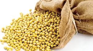 Giá đậu tương  kỳ hạn tại CBOT sáng ngày 21/7/2016