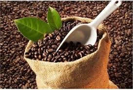 Giá cà phê kỳ hạn tại NYBOT sáng ngày 26/8/2016