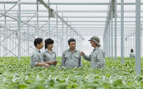 Vingroup bắt tay 1.000 hợp tác xã, hộ nông dân cung ứng nông sản sạch