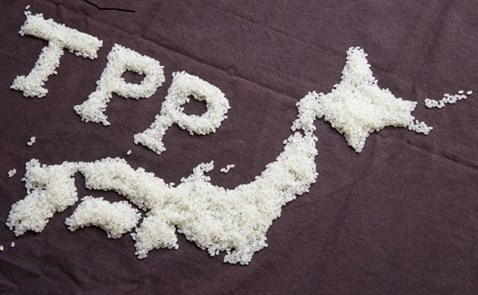 Nhật Bản sẽ hồi sinh TPP mà không cần Mỹ?