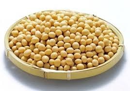 Giá đậu tương  kỳ hạn tại CBOT sáng ngày 17/5/2017