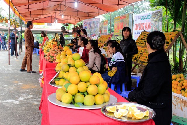 Mãn nhãn với Lễ hội cam Cao Phong