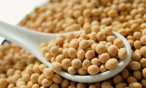 Thị trường NL TĂCN thế giới ngày 2/11: Giá đậu tương tăng 