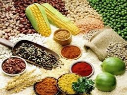 USDA nâng triển vọng đối với nguồn cung đậu tương, ngũ cốc toàn cầu 