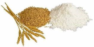 Thị trường NL TĂCN thế giới ngày 11/7: Giá lúa mì tăng 1,5% do thời tiết nóng và khô