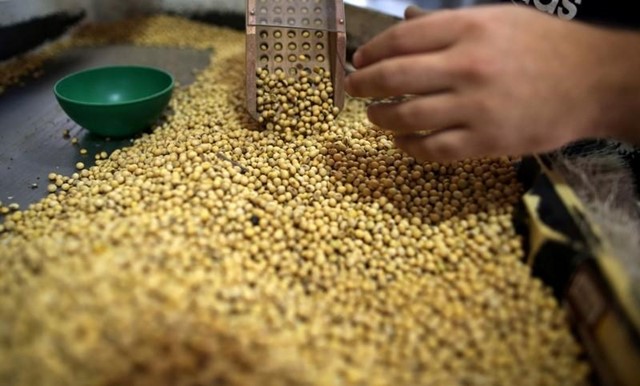 USDA: Dự báo cung cầu đậu tương thế giới  niên vụ 2018/19 