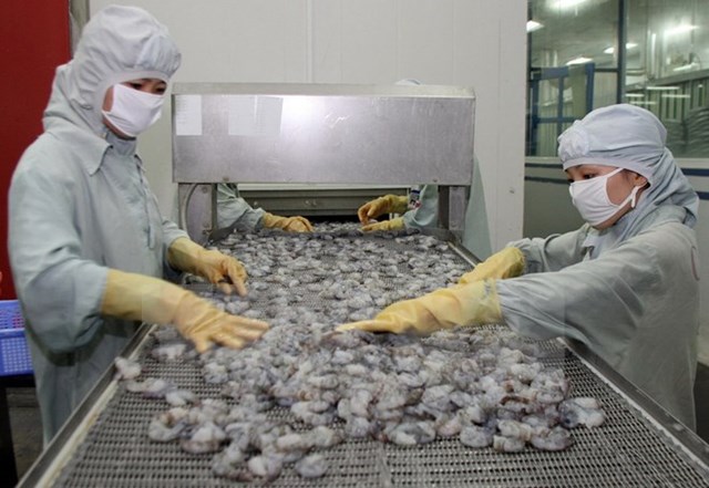 VKFTA: Năm đầu tiên Việt Nam được xuất khẩu 10.000 tấn tôm sang Hàn Quốc thuế suất 0%