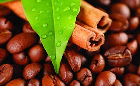 Indonesia: Xuất khẩu cà phê Robusta tăng 15% trong tháng 1/2014