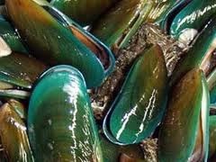 Giá vẹm tăng do nhu cầu thế giới tăng