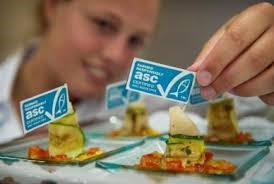 Cá hồi đạt chứng nhận ASC ra mắt thị trường Nhật Bản