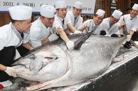 Thái Lan: Mất cơ hội được giảm thuế nhập khẩu cá ngừ vào EU