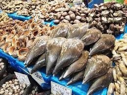 Hàn Quốc: Sản lượng khai thác thủy sản giảm năm 2013