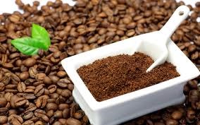 Sản lượng cà phê năm 2015 có thể giảm 20-25%