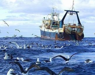 EU chính thức cấm kinh doanh thủy sản của Belize, Campuchia và Guinea