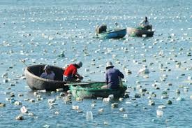 Mexico cấm khai thác tôm tại Thái Bình Dương