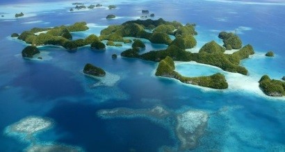 Palau: Lệnh cấm khai thác thương mại gây khó cho cho ngành cá ngừ