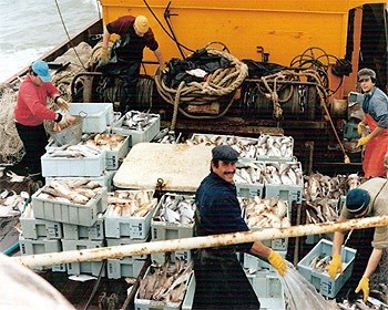 Argentina: Lượng thủy sản cập cảng bốn tháng đầu năm giảm