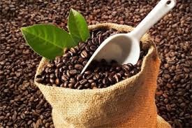 Thị trường cà phê ngày 12/6: giảm mạnh 600 đồng/kg