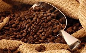 Giá cà phê Tây Nguyên xuống 40,4 triệu đồng/tấn