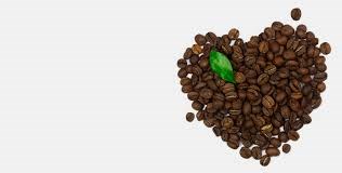 Giá cà phê cuối tháng tăng tưng bừng