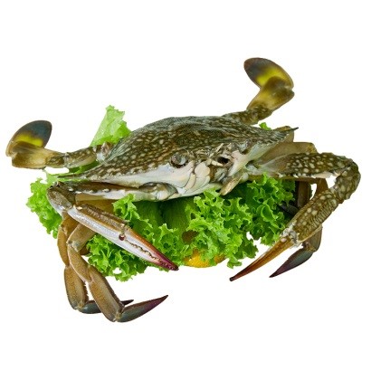 Indonesia thông qua quy định kiểm soát khai thác cua ghẹ