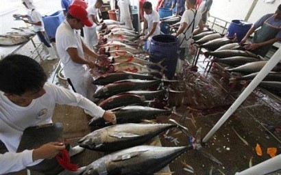 Philippines: Sản lượng thủy sản giảm 3,25% trong quý I/2014