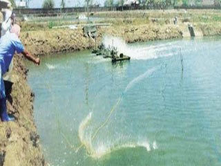 Hệ thống truy xuất nguồn gốc đối với tôm nuôi của Inđônêxia