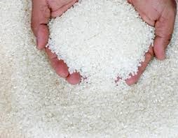 Mười tháng xuất khẩu gạo đạt trên 2,57 tỷ USD
