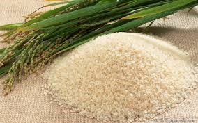 Thị trường lúa gạo châu Á: Nhu cầu bốc xếp cao ở Việt Nam, trầm lắng ở Thái Lan