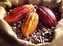 Thị trường cà phê, cacao ngày 27/12