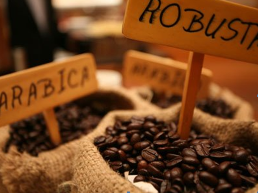 Cà phê tiếp tục là “ngôi sao” trong năm 2015?