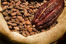 Cacao giảm xuống mức thấp nhất hơn 3 tháng, cà phê cũng giảm