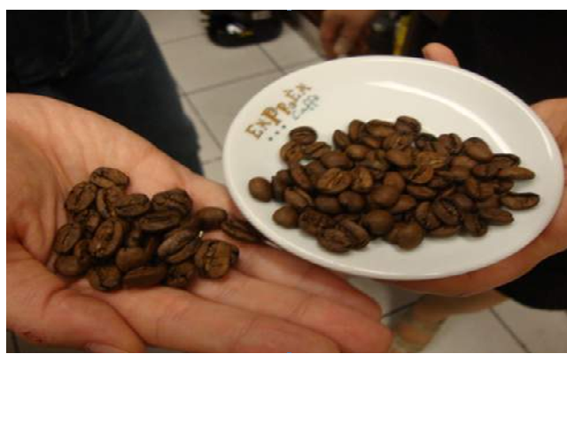 Conab: Sản lượng cà phê niên vụ 2015/16 của Brazil giảm xuống 44,3 triệu bao