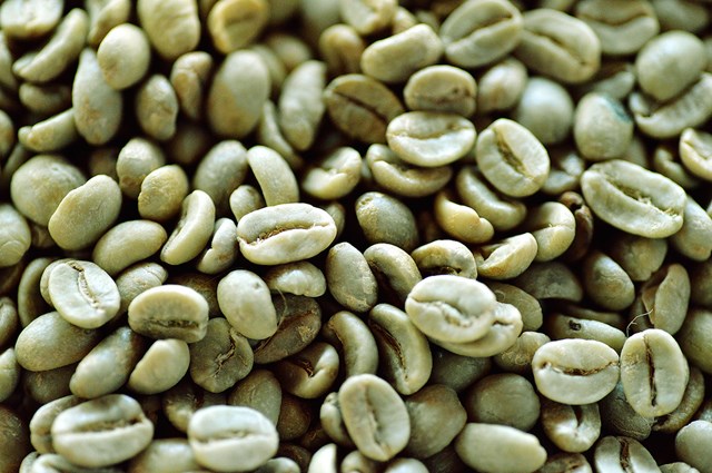ICO: Xuất khẩu cà phê của Việt Nam bằng một nửa Brazil