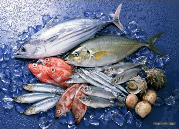 Tổng hợp thị trường thủy sản thế giới đến 08/3/2015
