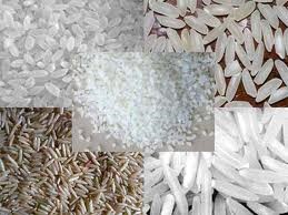 Giá gạo châu Á tiếp tục giảm dù Philippine sắp mở thầu