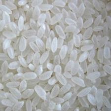 Giá gạo Việt Nam lại vượt gạo Thái Lan