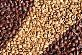 Macquarie: Giá cà phê arabica tiếp tục giảm trong năm 2015