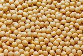 Indonesia cần nhập thêm 40.000 tấn đậu tương mỗi năm