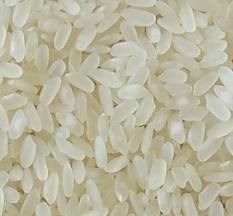 Ấn Độ sẽ đứng đầu thế giới về xuất khẩu gạo năm 2012