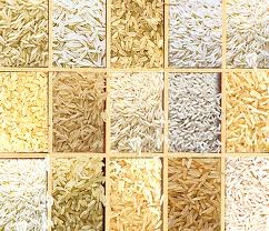 Thông tin về sản xuất và xuất khẩu gạo Ấn Độ